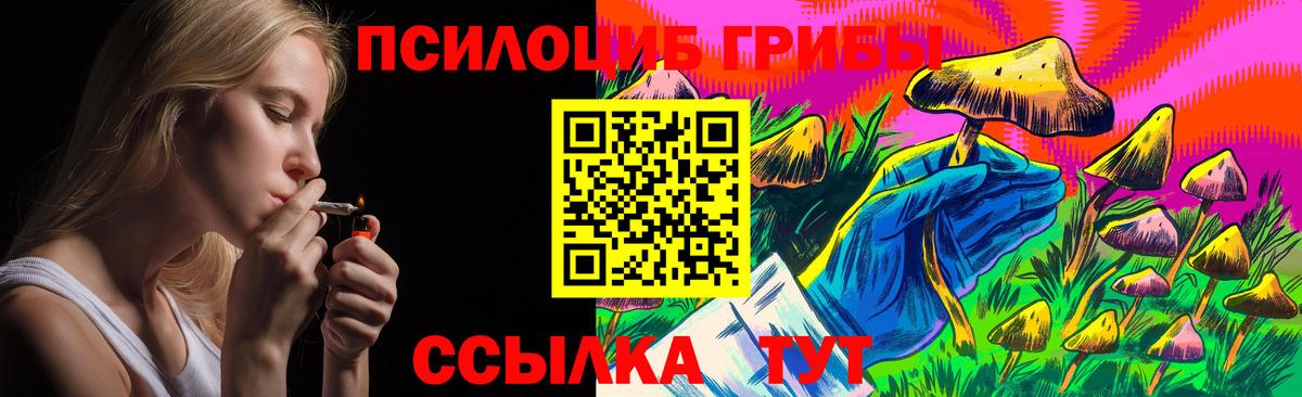 Галлюциногенные грибы мицелий  Галлюциногенные грибы Psilocybe  Холмск  Вход с VPN 